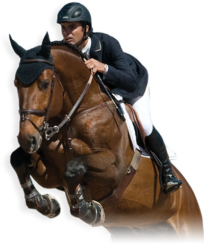Products for horse and rider at Merkland